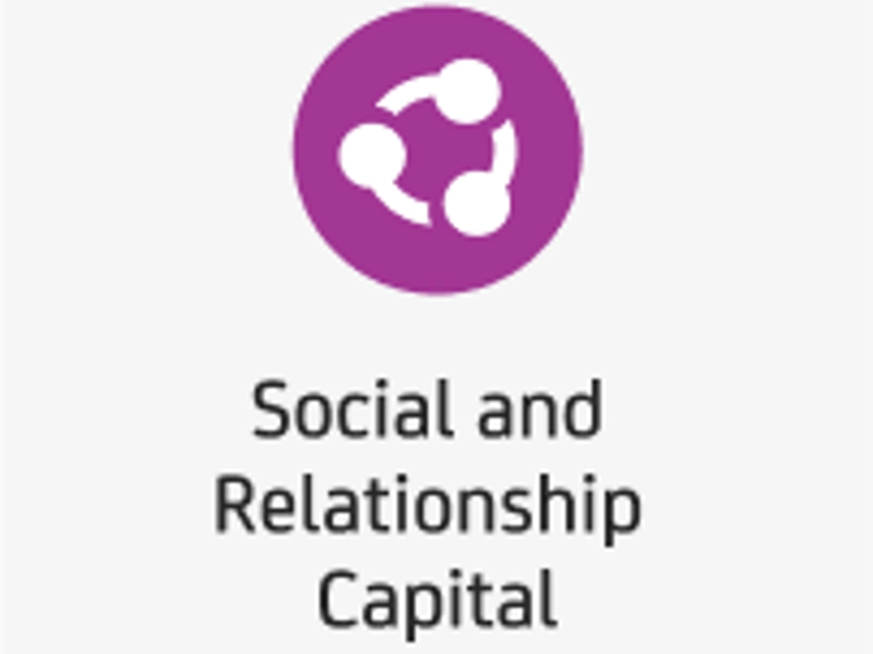 Socialcapital (2)