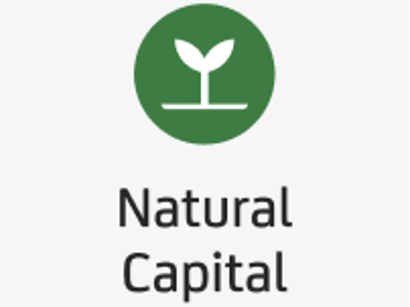 Naturalcapital (1)
