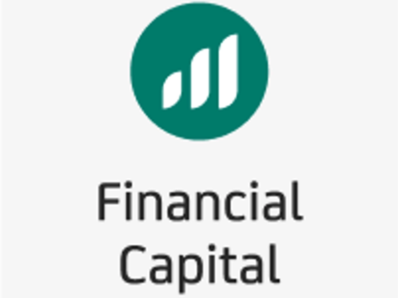 Financialcapital (1)
